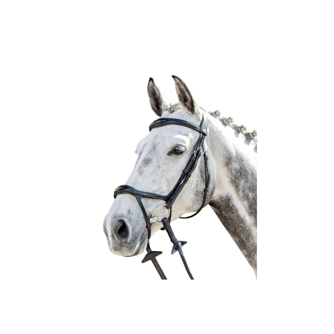 Horse and Balance - Bridles and Reins – Horse and Balance Asia